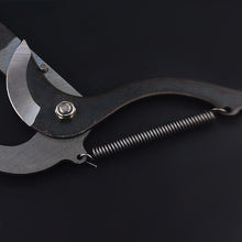 Load image into Gallery viewer, High-Altitude Extension Pruning Shears
