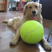 Load image into Gallery viewer, Large tennis ball for your dog – XXL – 24 cm diameter
