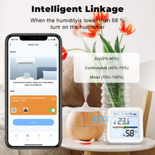 Load image into Gallery viewer, Wifi-Enabled Temperature And Humidity Sensor
