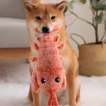 Load image into Gallery viewer, Floppy Lobster Interactive Dog Toy
