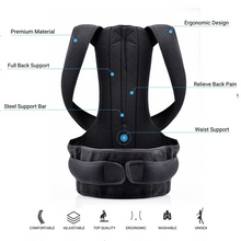 Load image into Gallery viewer, Complete Back Care Brace
