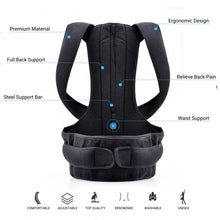 Load image into Gallery viewer, Complete Back Care Brace
