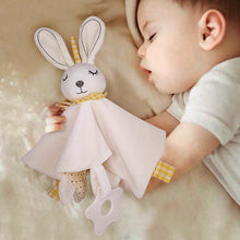 Load image into Gallery viewer, Bunny Plush Sleeping Toy
