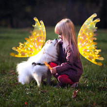 Load image into Gallery viewer, Electric Colorful Kids / Adults LED Fairy Wings Costume
