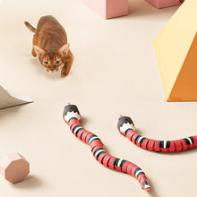 Load image into Gallery viewer, Smart Sensor Interactive Snake Toy For Cats
