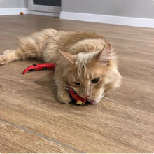 Load image into Gallery viewer, Smart Sensor Interactive Snake Toy For Cats
