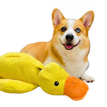 Load image into Gallery viewer, Calming Durable Duck
