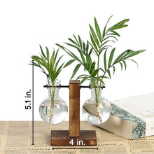 Load image into Gallery viewer, Wooden Frame Hydroponic Plant Vase
