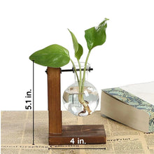Load image into Gallery viewer, Wooden Frame Hydroponic Plant Vase
