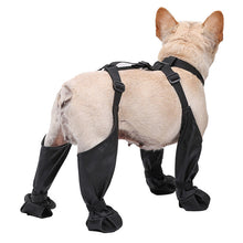 Load image into Gallery viewer, Adjustable Dog Boots
