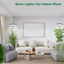Load image into Gallery viewer, Grow Light For Indoor Plants
