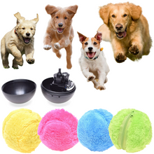 Load image into Gallery viewer, Active Rolling Ball (4 Colors Included)
