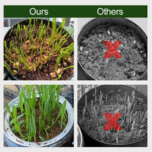 Load image into Gallery viewer, Organic Coconut Coir For Plants
