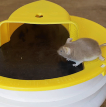 Load image into Gallery viewer, Premium Bucket Lid Mouse Trap
