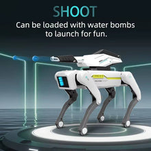 Load image into Gallery viewer, RC Robot Dog
