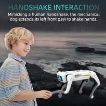 Load image into Gallery viewer, RC Robot Dog

