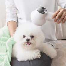 Load image into Gallery viewer, 2 in 1 Smart Dog Hair Dryer
