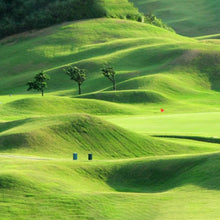 Load image into Gallery viewer, Quick Fix Green Grass Seed Mat

