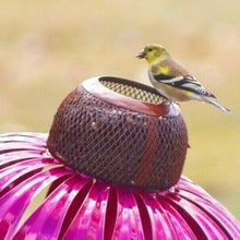 Load image into Gallery viewer, Coneflower Bird Feeder
