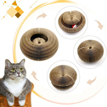 Load image into Gallery viewer, Magic Organ Cat Scratching Board
