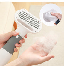 Load image into Gallery viewer, 3-in-1 Dog Hair Dryer and Grooming Brush
