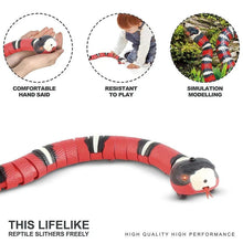 Load image into Gallery viewer, Interactive Cat Toys
