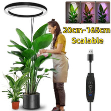 Load image into Gallery viewer, Grow Light For Indoor Plants
