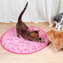 Load image into Gallery viewer, 2 in 1 Simulated Interactive Hunting Cat Toy
