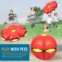 Load image into Gallery viewer, Flying Saucer Ball Dog Toy
