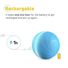Load image into Gallery viewer, Magic Ball Pet Motion Toy
