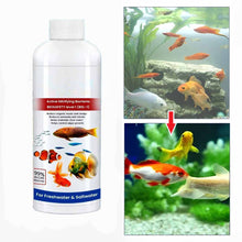 Load image into Gallery viewer, 3 Pack Fish Tank Cleaner Liquid
