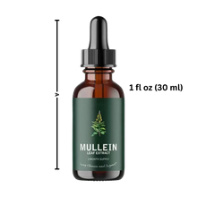 Load image into Gallery viewer, Gluten Free Mullein For Lung Health
