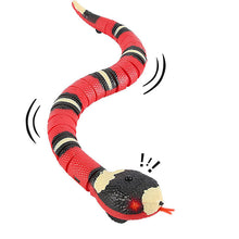 Load image into Gallery viewer, Interactive Cat Toys
