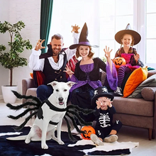 Load image into Gallery viewer, Pet Funny Spider Costume
