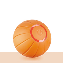 Load image into Gallery viewer, Pet Ball (Special Edition)

