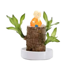 Load image into Gallery viewer, Lucky Brazilian Wood Plant
