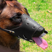 Load image into Gallery viewer, Breathable Dog Biting Muzzle Mouth Guard
