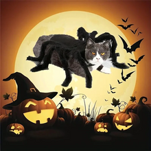 Load image into Gallery viewer, Pet Funny Spider Costume
