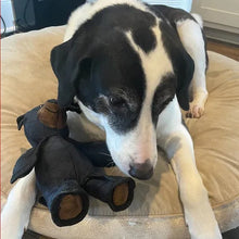 Load image into Gallery viewer, Indestructible &amp; Interactive Bear Dog Toys For Heavy Chewers
