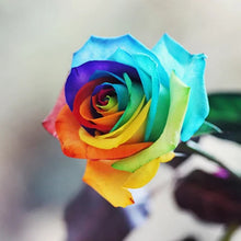 Load image into Gallery viewer, Rainbow Rose Seeds
