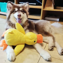 Load image into Gallery viewer, Calming Duck Dog Toy
