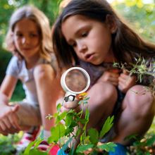 Load image into Gallery viewer, Optical Magnifying Glass
