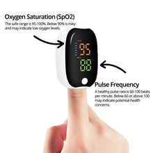 Load image into Gallery viewer, Precise Blood Oxygen Meter

