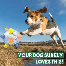 Load image into Gallery viewer, New Jumping Activation Ball For Dogs
