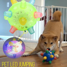 Load image into Gallery viewer, New Jumping Activation Ball For Dogs
