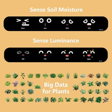 Load image into Gallery viewer, Smart Plant Pot Ivy - Innovative Plant Care
