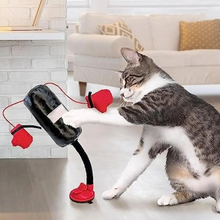 Load image into Gallery viewer, Cat Toys
