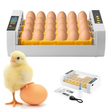 Load image into Gallery viewer, Premium Egg Incubator Automatic Chicken Quail Egg Hatcher 24 Eggs
