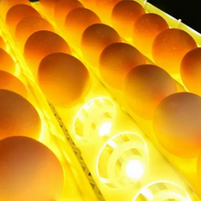 Load image into Gallery viewer, Premium Egg Incubator Automatic Chicken Quail Egg Hatcher 24 Eggs
