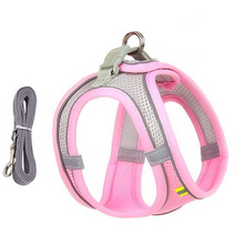 Load image into Gallery viewer, Adjustable Harness and Leash Set for Small Dogs and Cats
